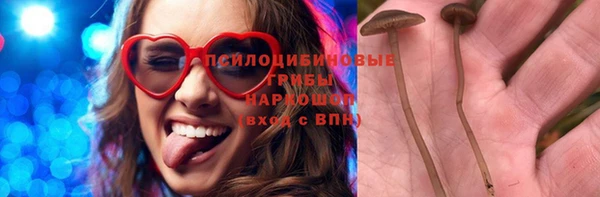 крисы Алзамай