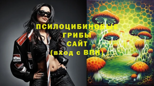 крисы Алзамай