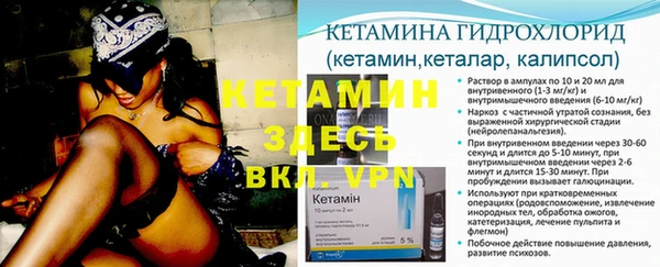 крисы Алзамай