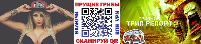 KRAKEN ССЫЛКА  Ипатово  Галлюциногенные грибы мицелий 